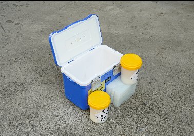 10L生物安全双罐